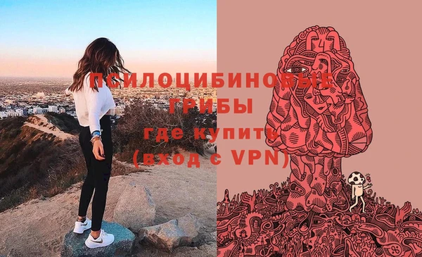 спиды Алексеевка